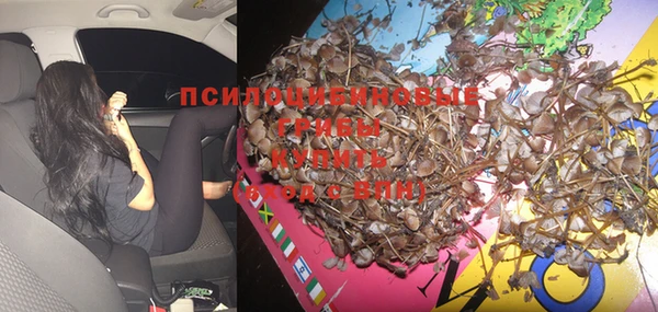 хмурый Абдулино