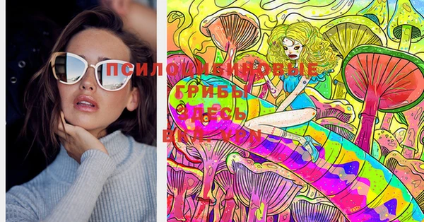 стафф Абинск